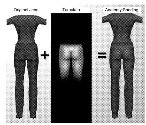 Alt Diagram of "Anatomy Shading"